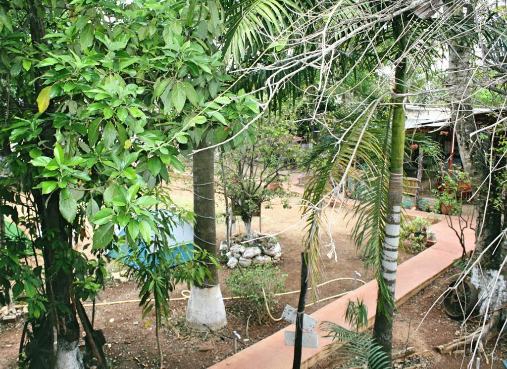 Yaxche Centro Hostal Y Camping Bacalar Kültér fotó