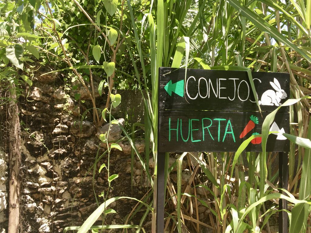 Yaxche Centro Hostal Y Camping Bacalar Kültér fotó